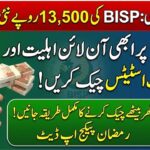 BISP 13500 Installment Update 2026 Check Eligibility and Payment Status via 8171