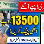 BISP 13500 payment check online