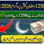 KPK 12500 Cash Program Registration 2026 Who Qualifies and How to Check Eligibility